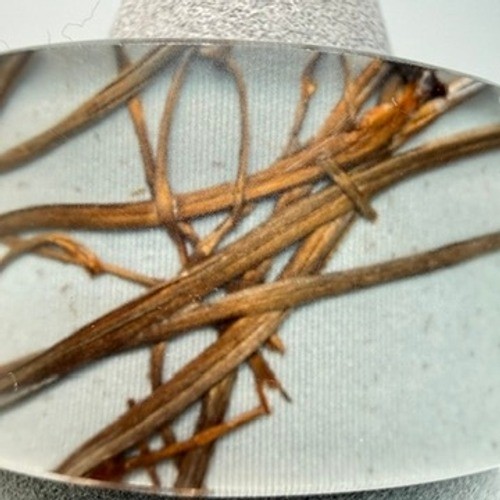 Chunky Lucite Acrylic Dried Grass Inlay Cuff Bracelet 6″ Casual Chic