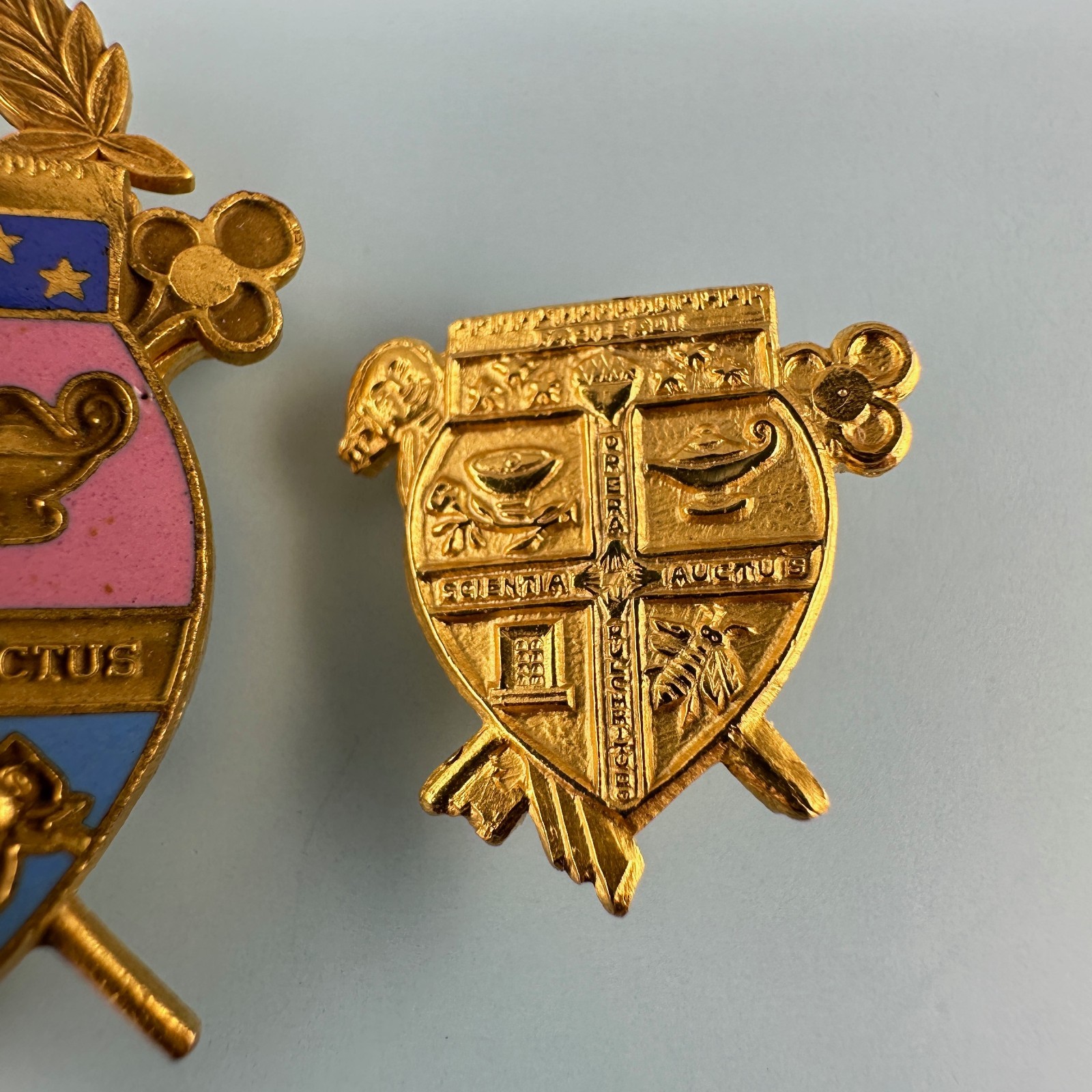 Vintage Coat of Arms Pin Lot Gold Tone Facital Scientia Auctus Opera Pulchritudo