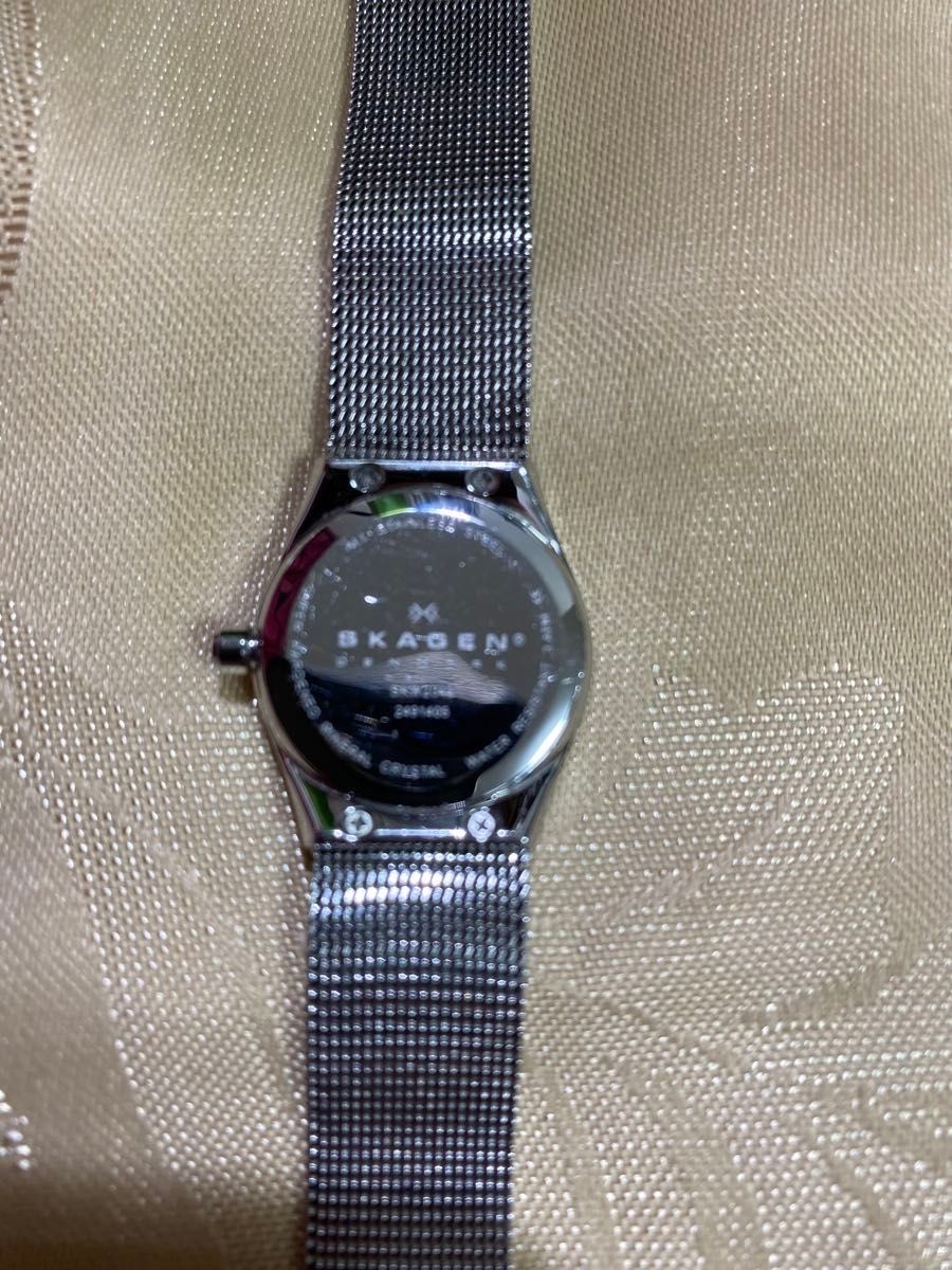 SKAGEN Women’s Silver Mesh Belt Watch