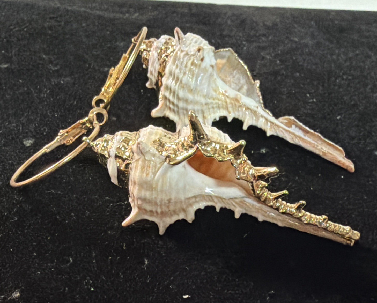 Conch Shell Hoop Dangle Gold Tone Earrings Pierced 3.5 In. Gold Accent