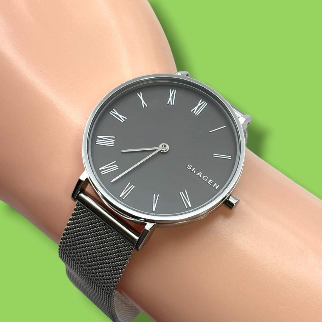Excellent Condition Working Skagen Ladies’ Wristwatch Roman Waterproof Quartz