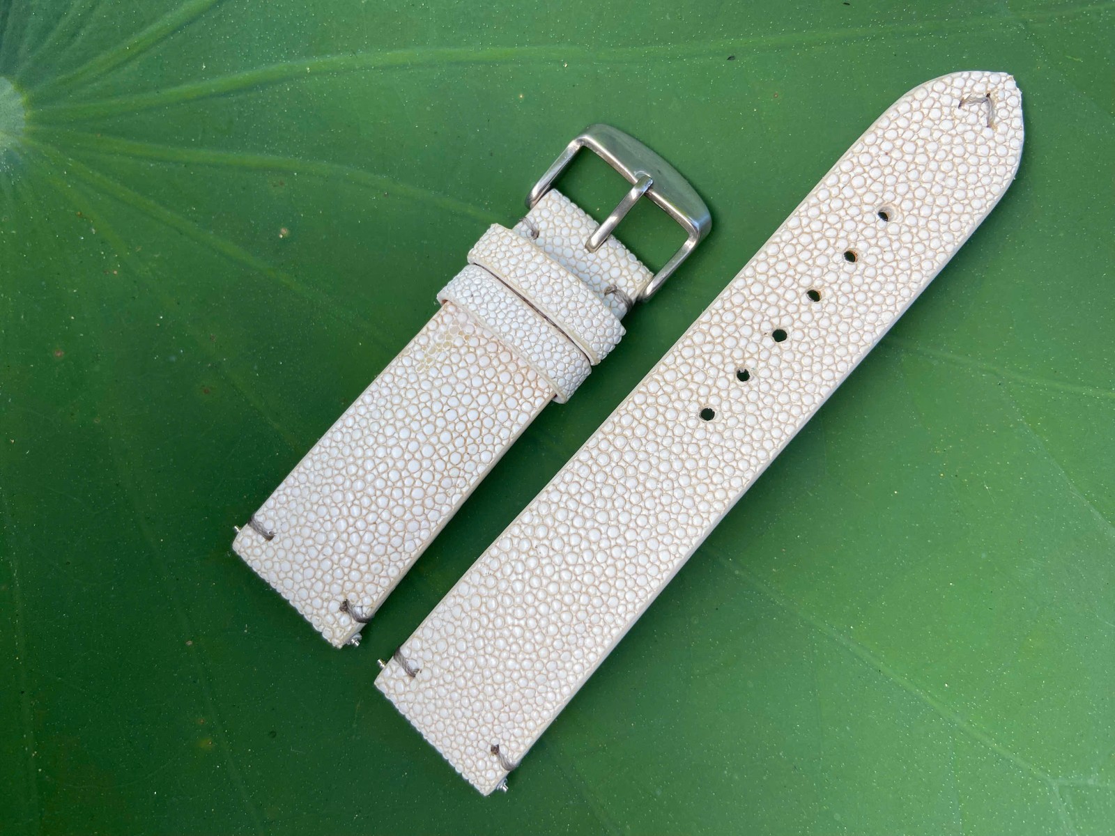 White Stingray Leather Watch Strap Band, Size 18mm 19mm 20mm 21mm 22mm 24mm 26mm