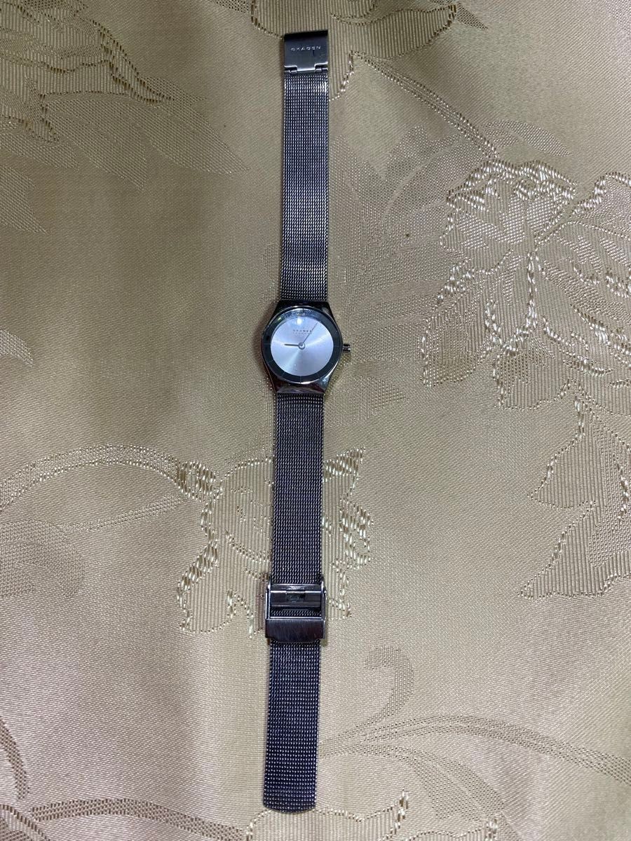 SKAGEN Women’s Silver Mesh Belt Watch