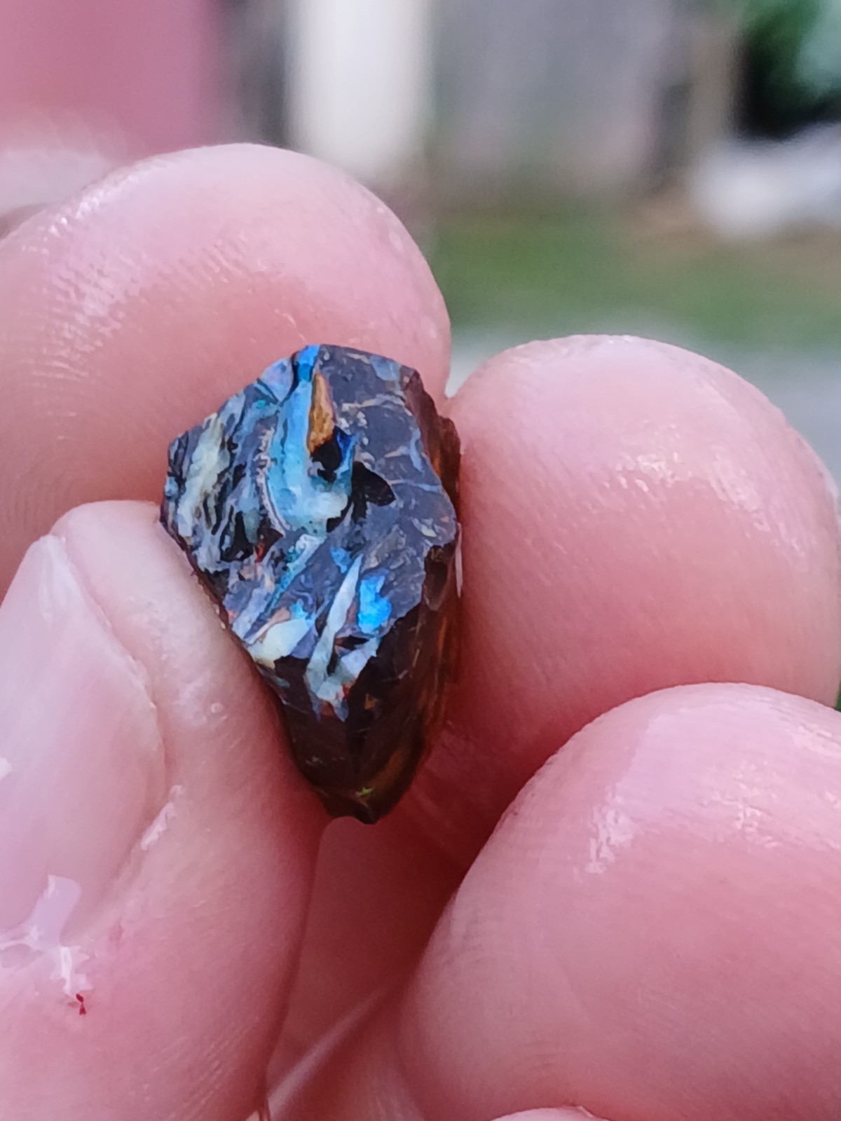 Australia Boulder Opal Koroit R313 Specimen 11 Carat Blue Green