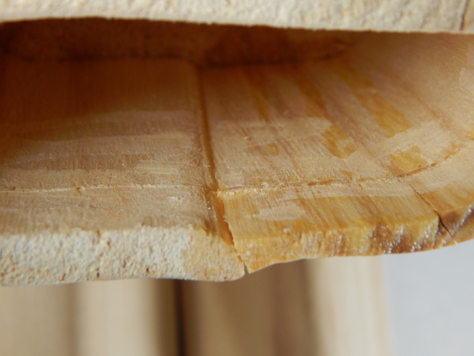 NATURE TURNS ASPEN WOOD JEWELRY TRINKET BOX + SECRET HIDDEN DRAWER CARVED LOG