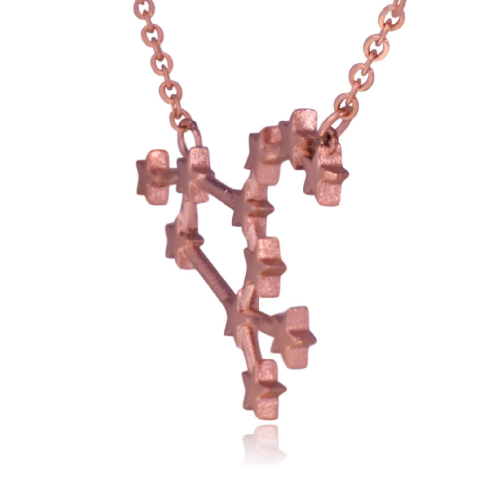 Leo Zodiac Constellation Sign Stainless Steel Pendant Necklace