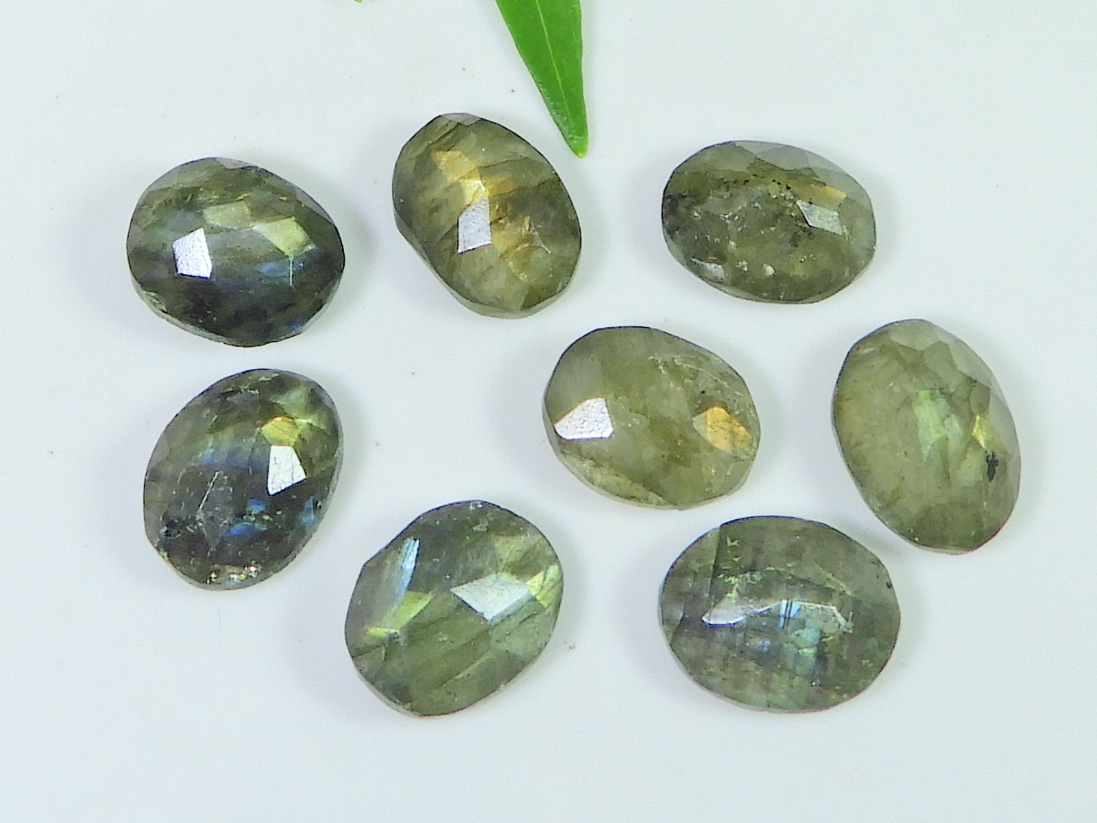 10X12MM Natural Labradorite Checker Cut Oval Cabochon Loose Gemstone 8PcsLot z32