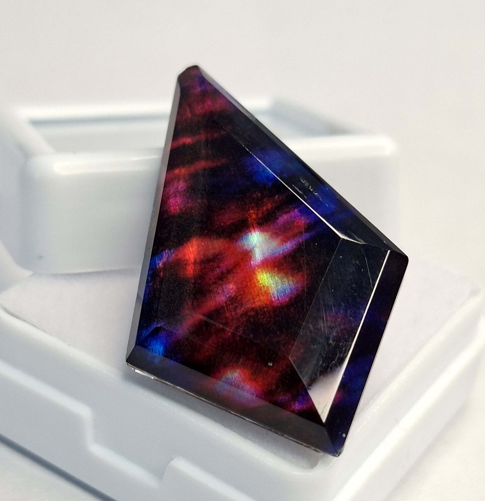 Certified Bi-Color Ammolite Fancy Cut 22-24 Ct Natural Loose Gemstone RK878
