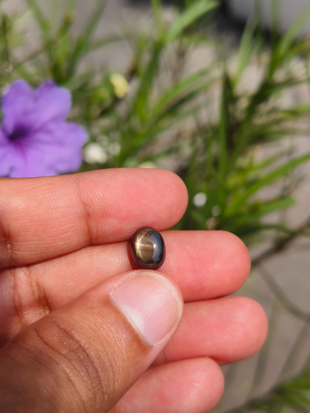 3.48 Cts A BEAUTIFUL NO HEAT BLACK STAR SAPPHIRE OF PERFECT 6 RAYS STAR ✨