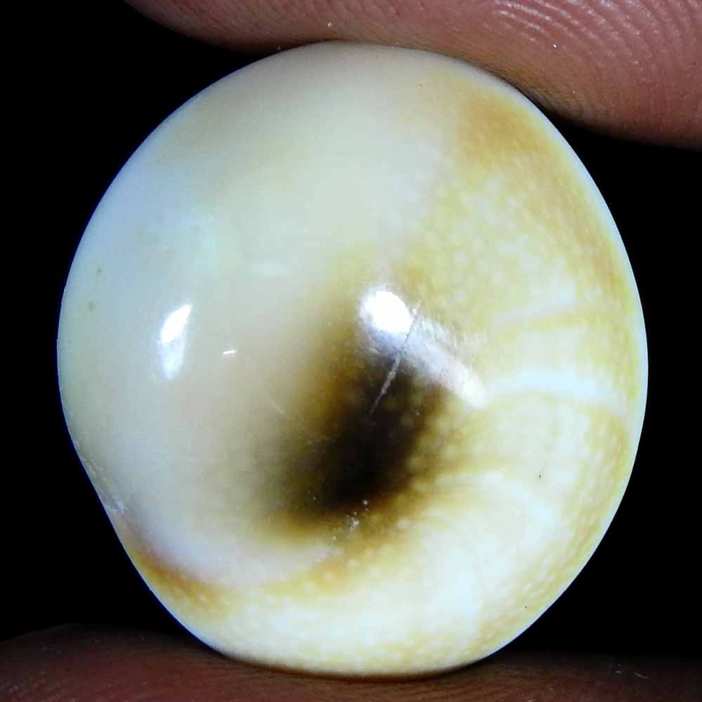 24.55Cts100%Natural Shiva Eye Jasper Oval Cabochon(22x20x8)Loose Gemstone