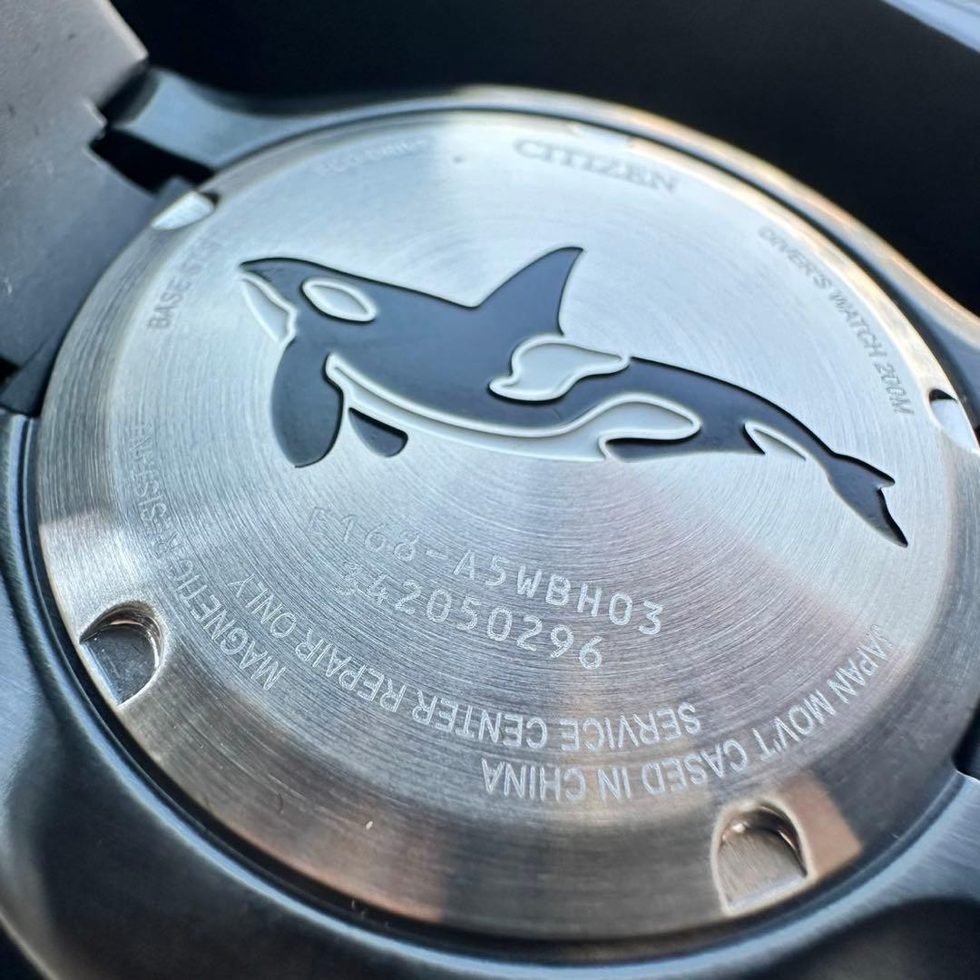 Citizen BN0235 01E Promaster Orca Diver’s