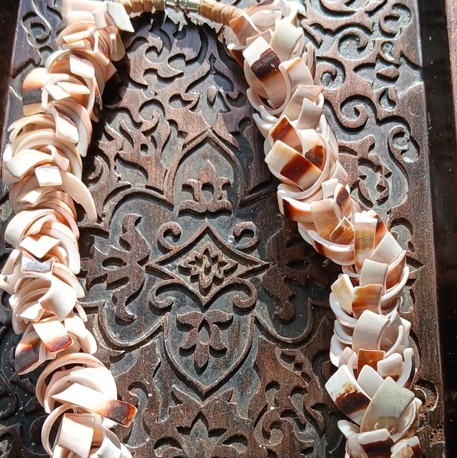 Vintage Handmade Hawaiian White & Brown Natural Shell Necklace