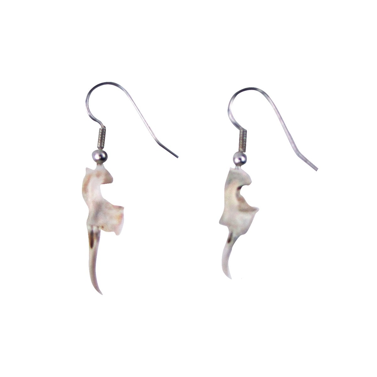 Real Rattlesnake Fang Teeth Earring Set Snake Tooth Tribal Fashion Jewelry Gift