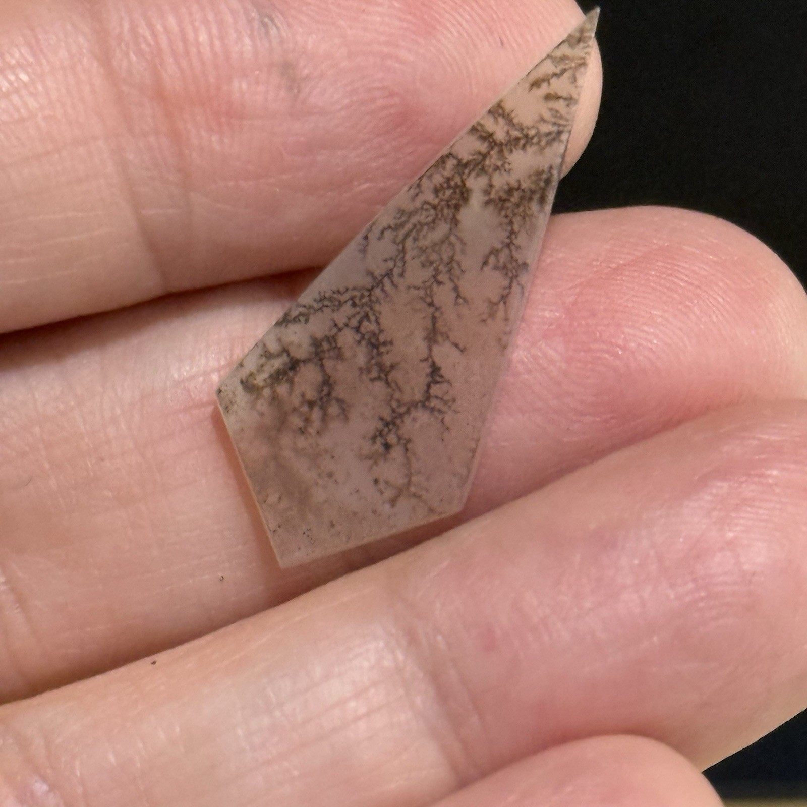 5.4ct 30x13x2mm Fine Dendritic Agate Kite Shape Cabochon Loose Picture Stone
