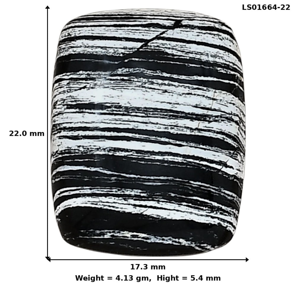 Natural Silver Leaf Obsidian 22×17.3×5.4 mm Baguette Shape Gemstone LS01664-22