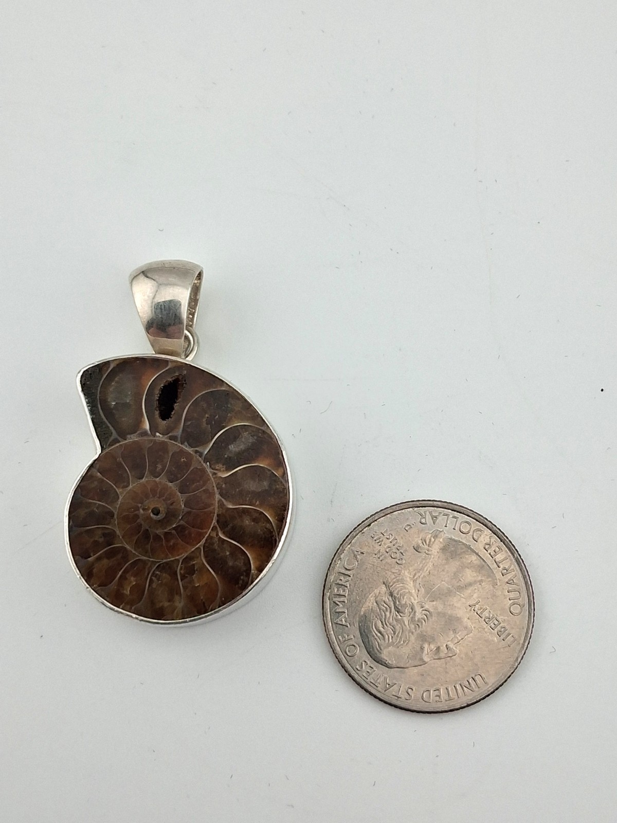 Charles Albert 950 Fine Sterling Silver Ammonite Fossil Pendant Nice Thick 14g