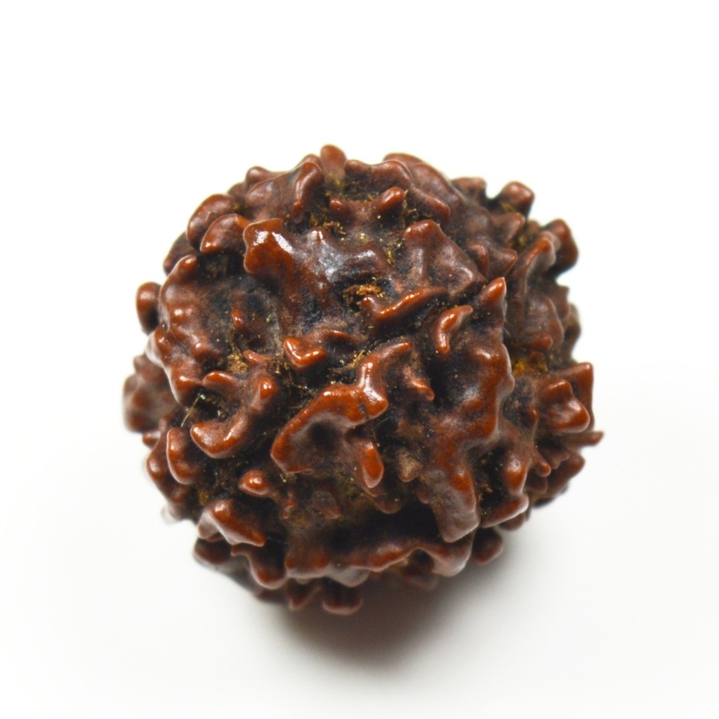 Rudraksha Pendant 8 Mukhi/EightFaced Round Red Thread Beads