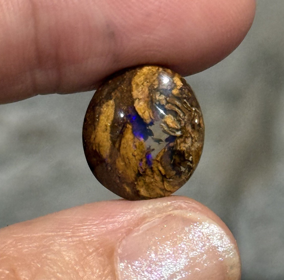6.65ct 14.3×12.6×5.2mm Fine Australian Koroit Boulder Opal Oval Cabochon Gem