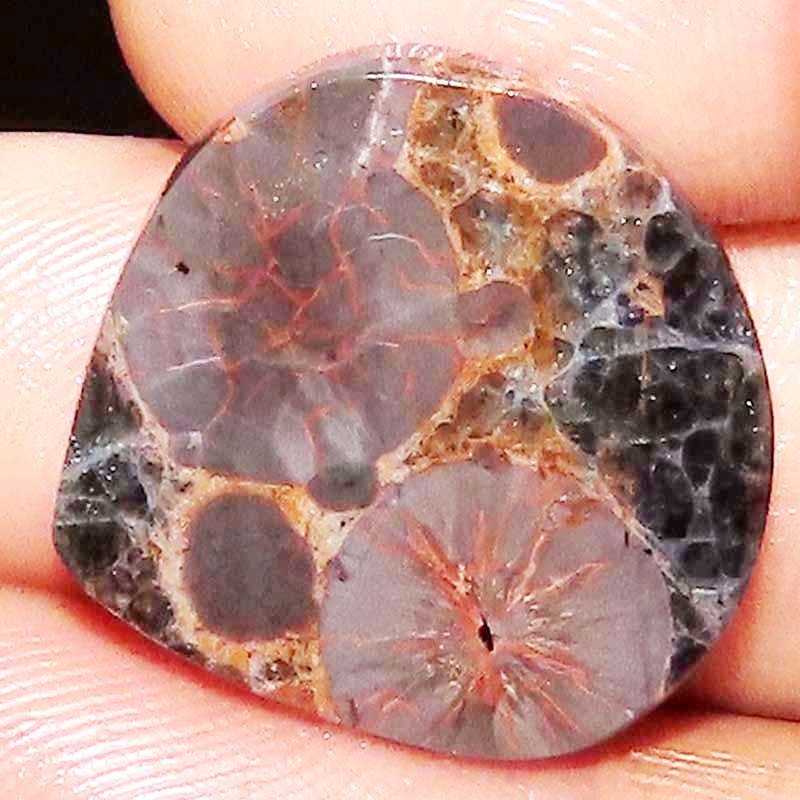 100% Natural Mexican Peanut Obsidian Heart Cabochon Gemstone 24.75 CTs 26x25x5mm