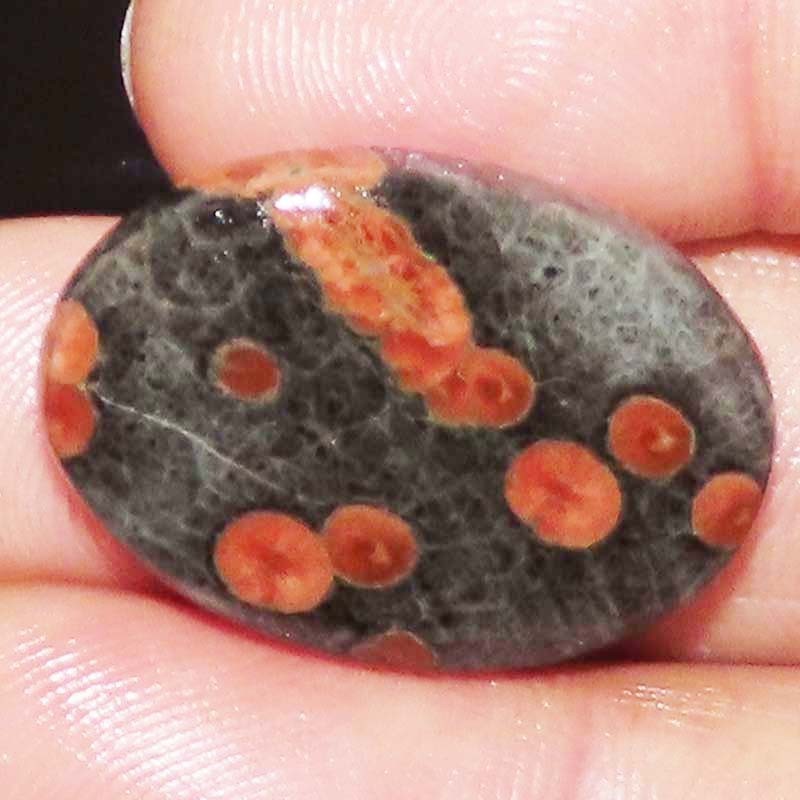 27.80CT 21X31X5mm Natural Georges Mexican Peanut Obsidian Oval Cabochon Gemstone