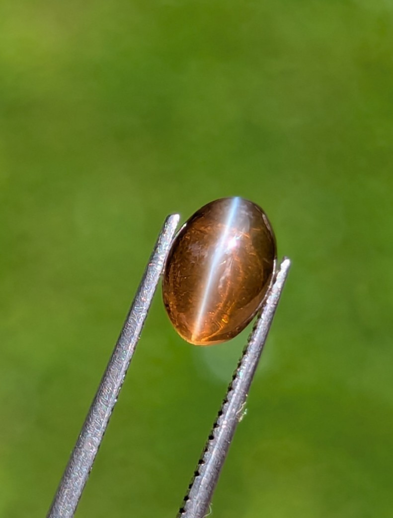 Natural Chrysoberyl Cat’s Eye 1.35ct Honey | Sharp Eye | Glass Body Ceylon