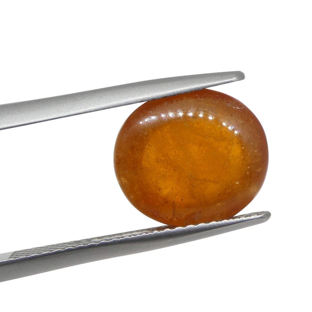 7.69ct Oval Cabochon Orange Mandarin Spessartine Garnet from Nigeria