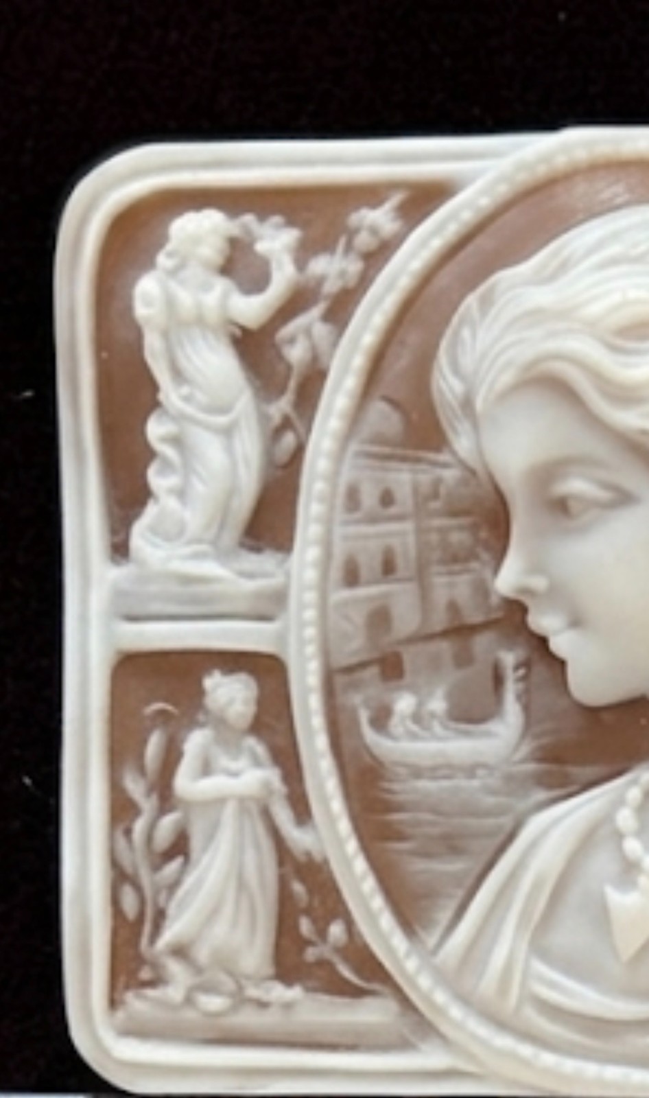 AMAZING SHELL CAMEO HANDMADE