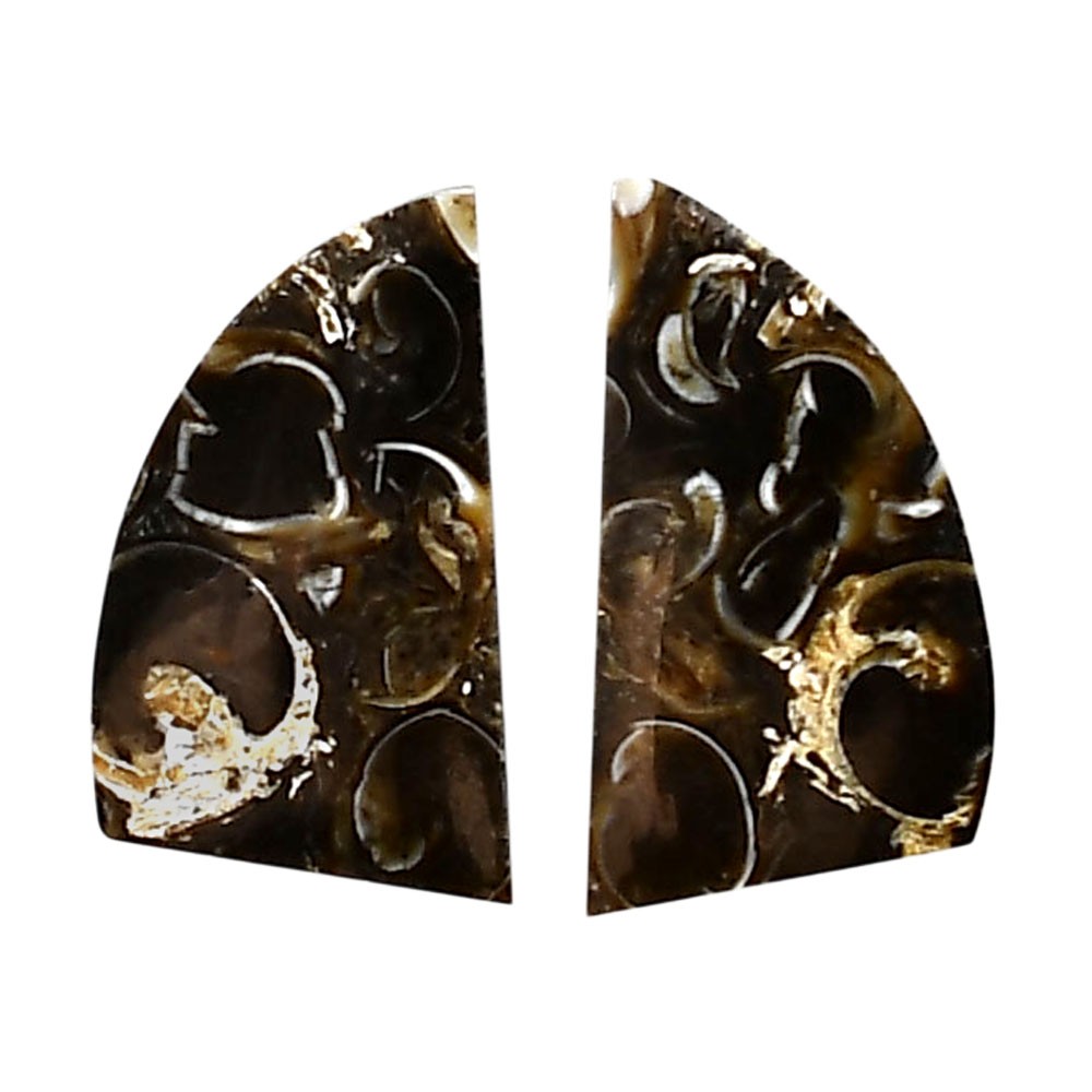 Natural Turtella Jasper Pair 12.5×21.5×4 mm Fancy Polished Gemstone LS70-04142