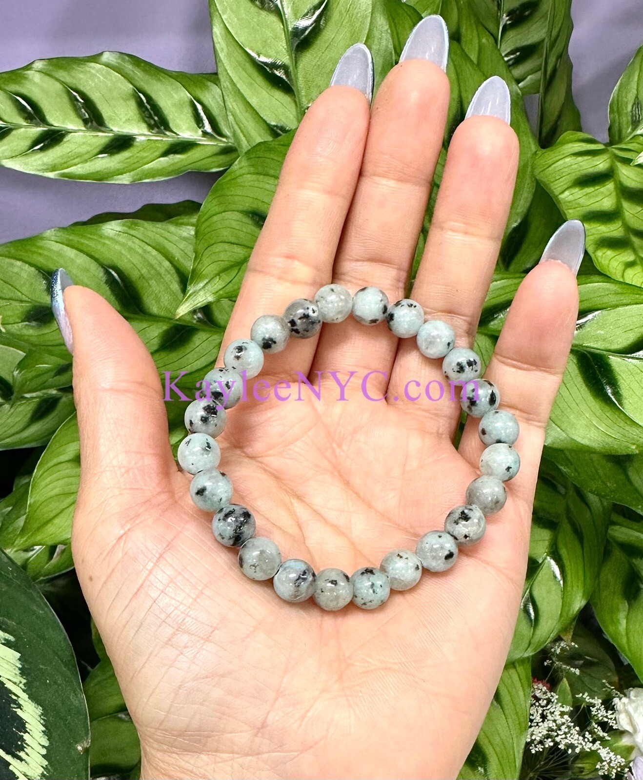Wholesale 6 Pcs Natural Kiwi Jasper 8mm 7.5” Crystal Healing Stretch Bracelet