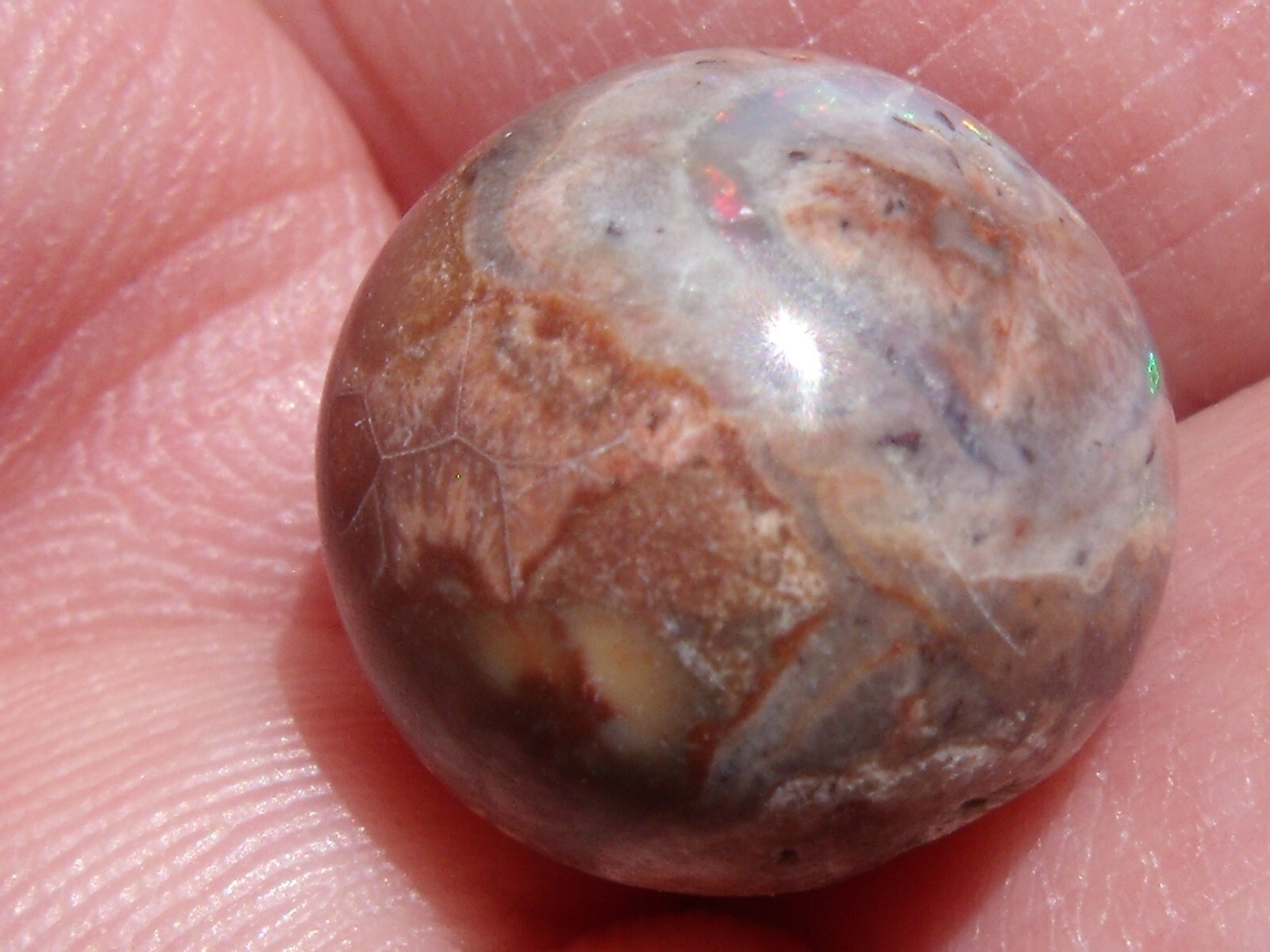 13.11 Ct. Mexican Cantera fire opal bead