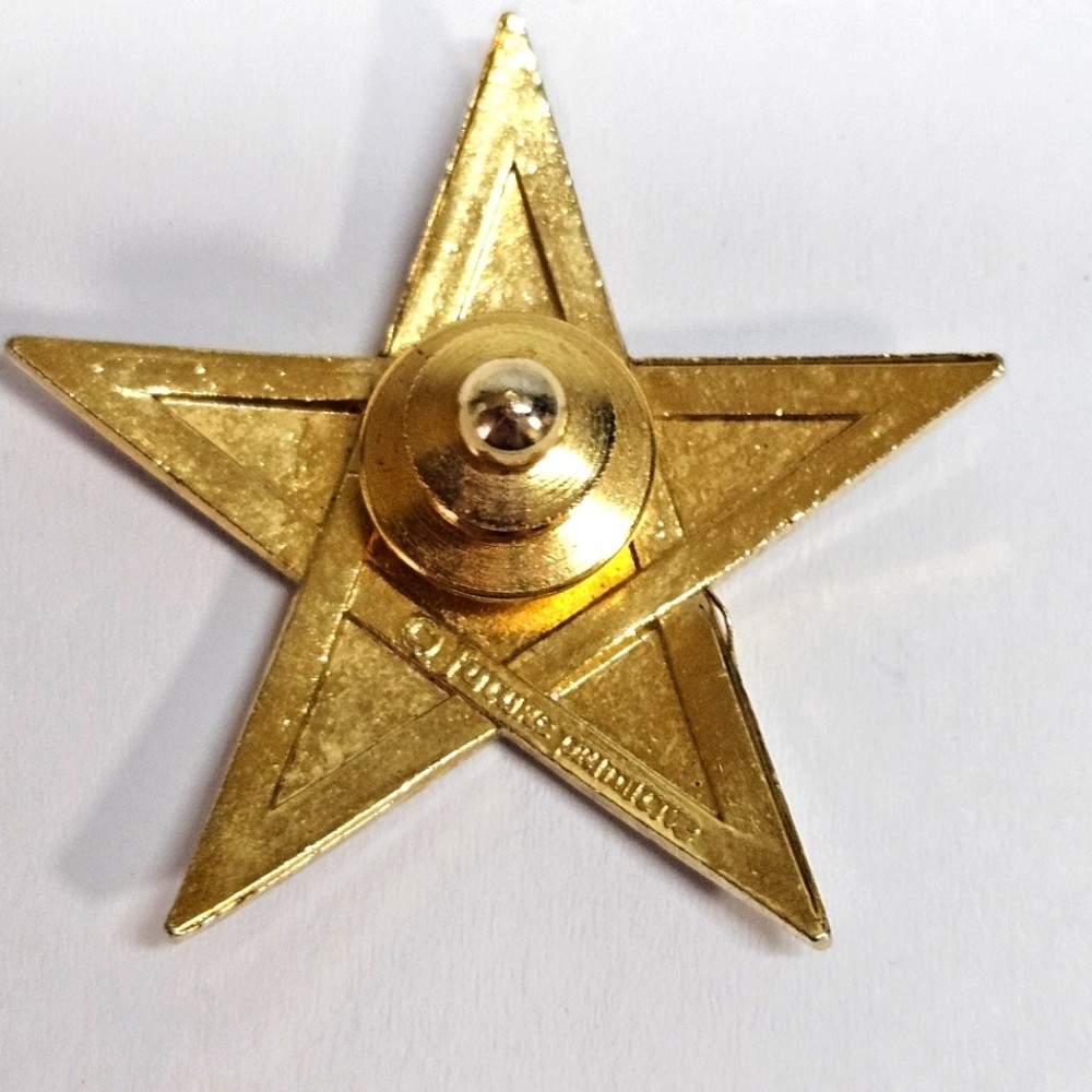 VINTAGE Hollywood Hills Red Gold Enamel Metal Star Future Primitive Lapel Pin