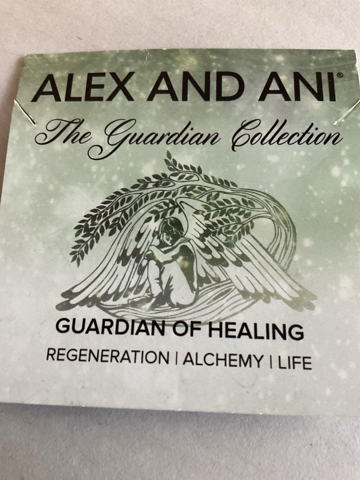 Alex & Ani Guardian Of Healing Adjustable Slide Necklace