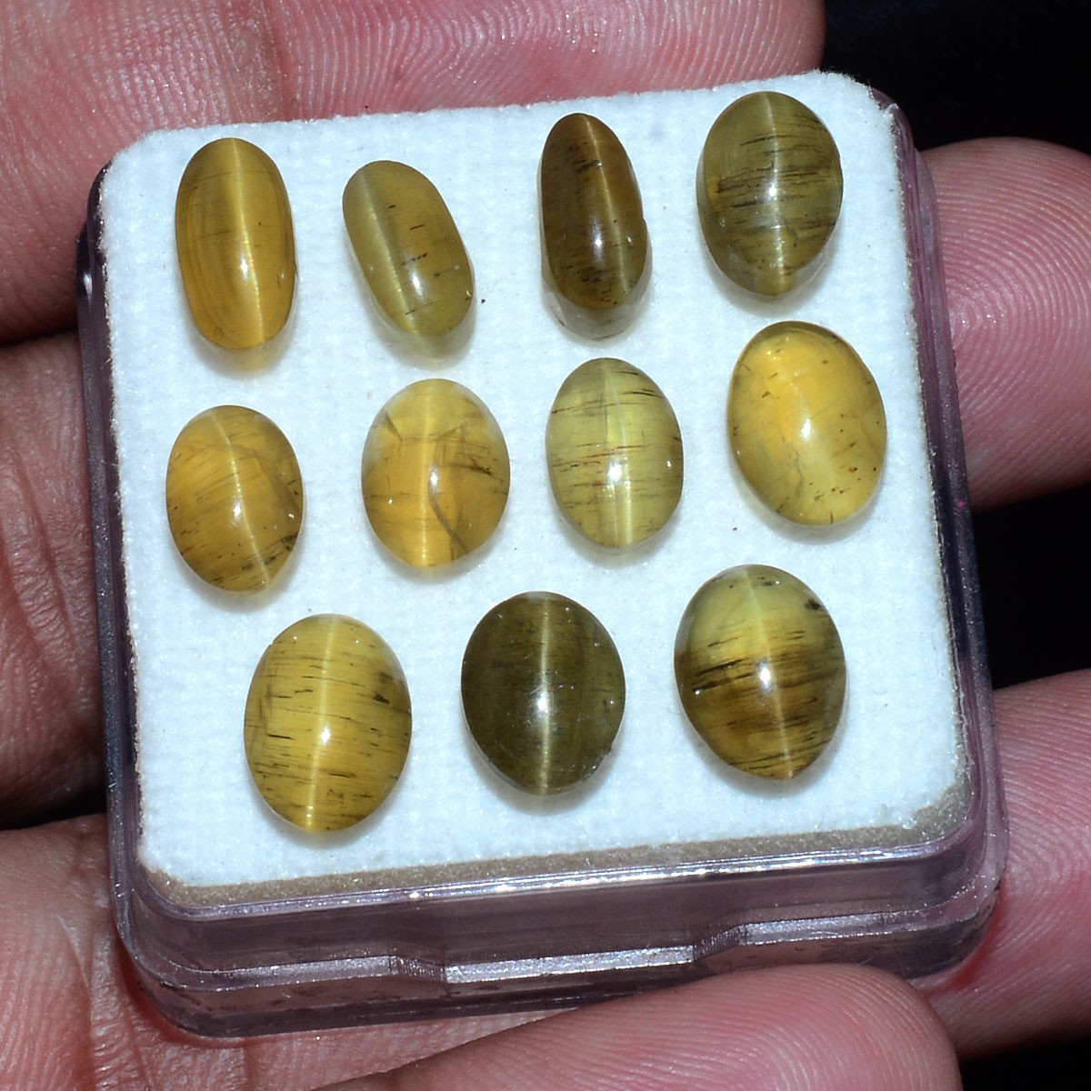 11 Pcs Natural Apatite Cats Eye 8mm-9mm Oval Cabochon Huge Loose Gemstones Lot