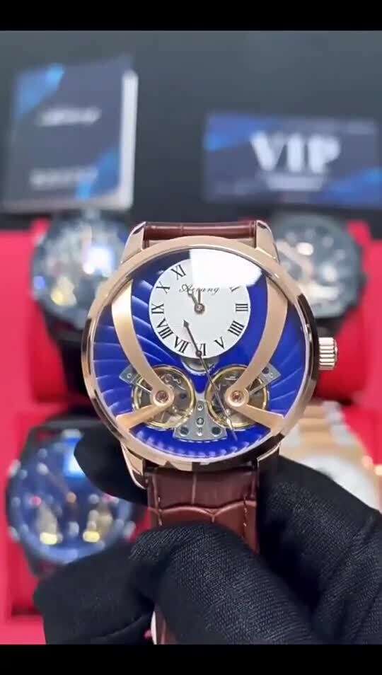 AILANG Waterproof Sapphire Glass Luminous Tourbillon Automatic Mechanical Watch