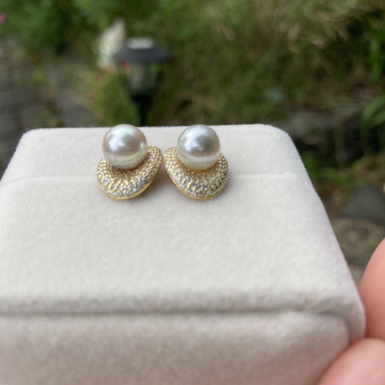 7-7.5mm AAAA+ Akoya seawater Grey Pearl Sterling silver S925 stud 14.9x11mm #192