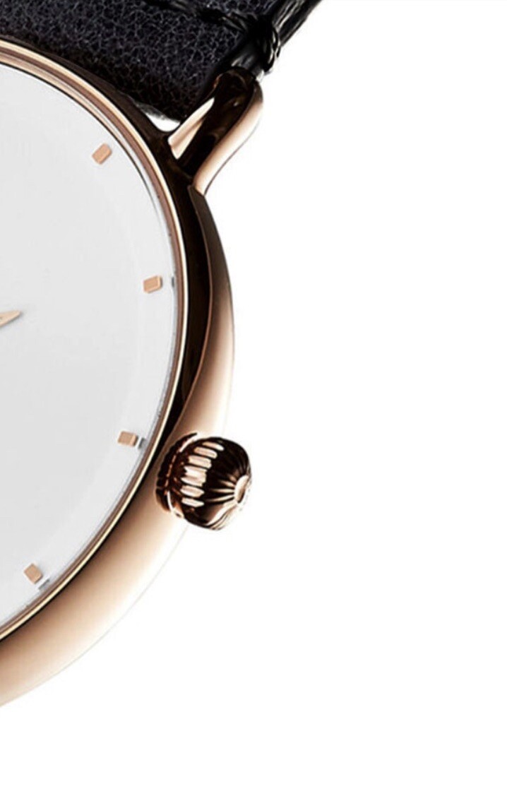 Watch Minimalist Casual Business Japan Movement for Men Women Ladies Rose Gold