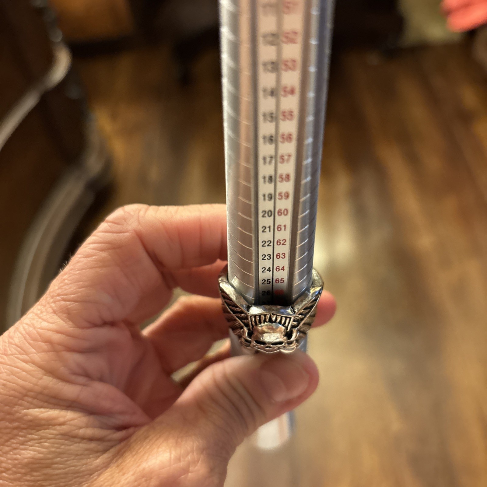 Silver toned Winged Skull And Crossbones Shield ring size 12.5
