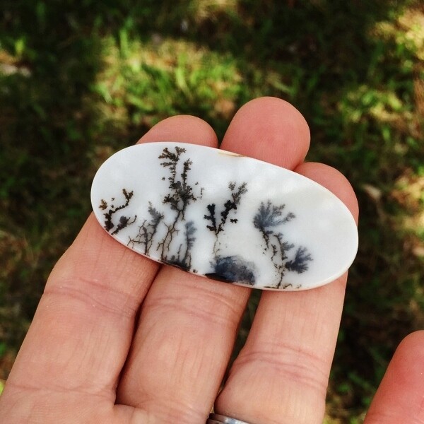 All Natural! Fine Quality Dendritic Agate India GLI