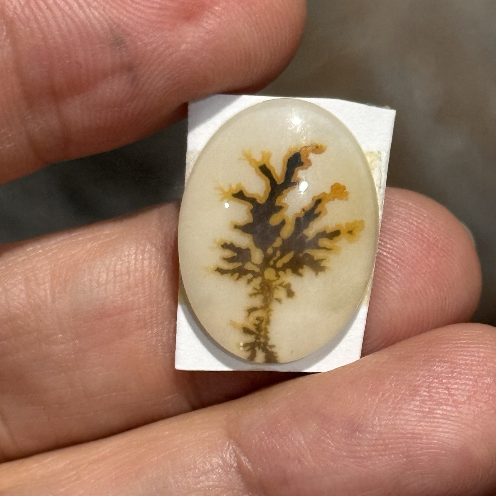 10.7ct 21×15.7×4.2mm Dendritic Agate Crystal Doublet Oval Cabochon Picture Stone