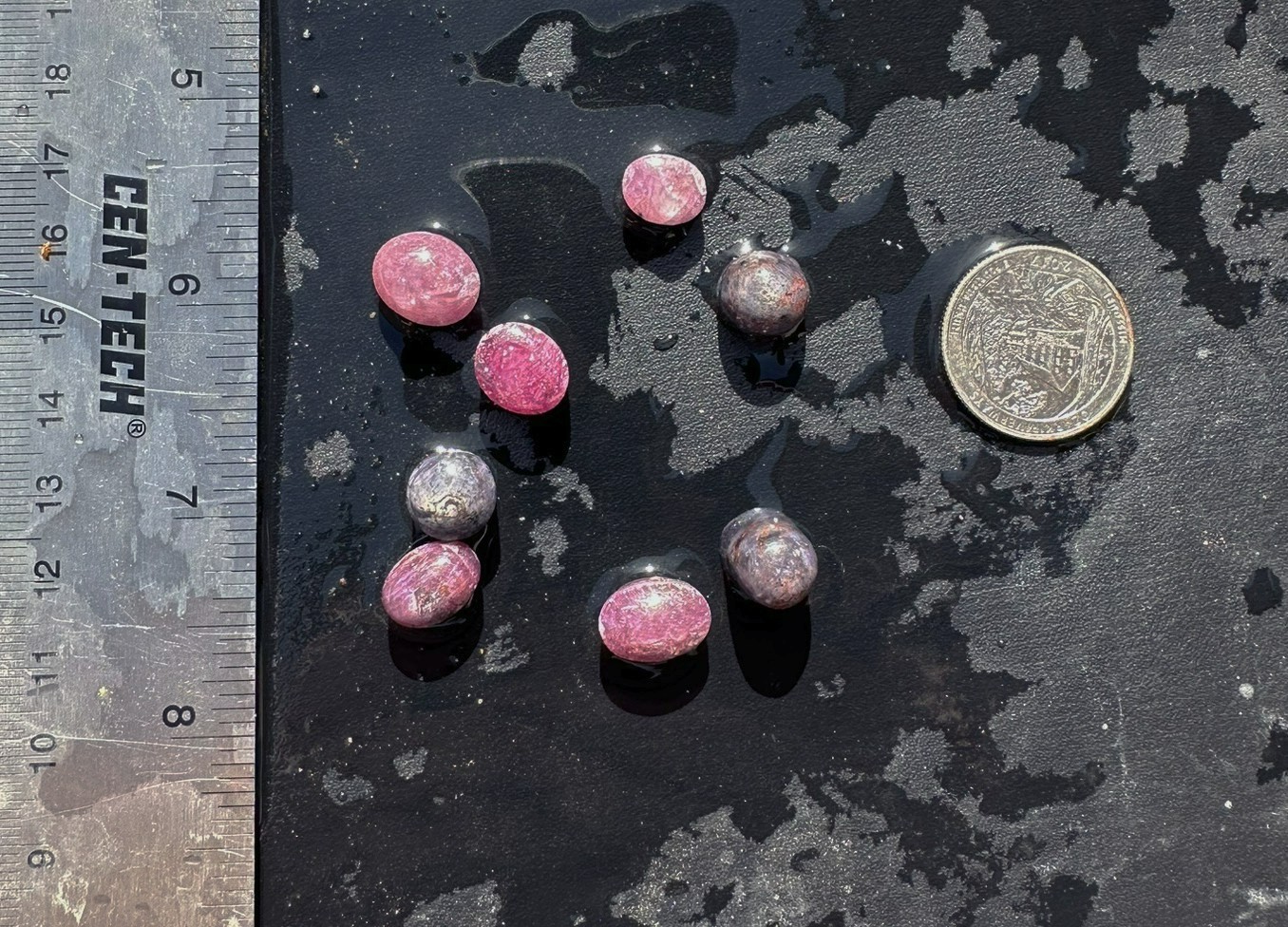 Lot of 8 Natural Star Ruby Star Sapphire Cabochons Rough Gems 95ct