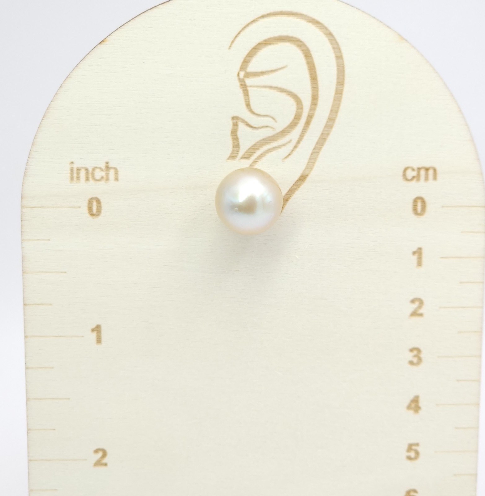 18K Yellow Gold South Sea Cultured Cream Champagne Pearl 12mm Stud Earrings 7g