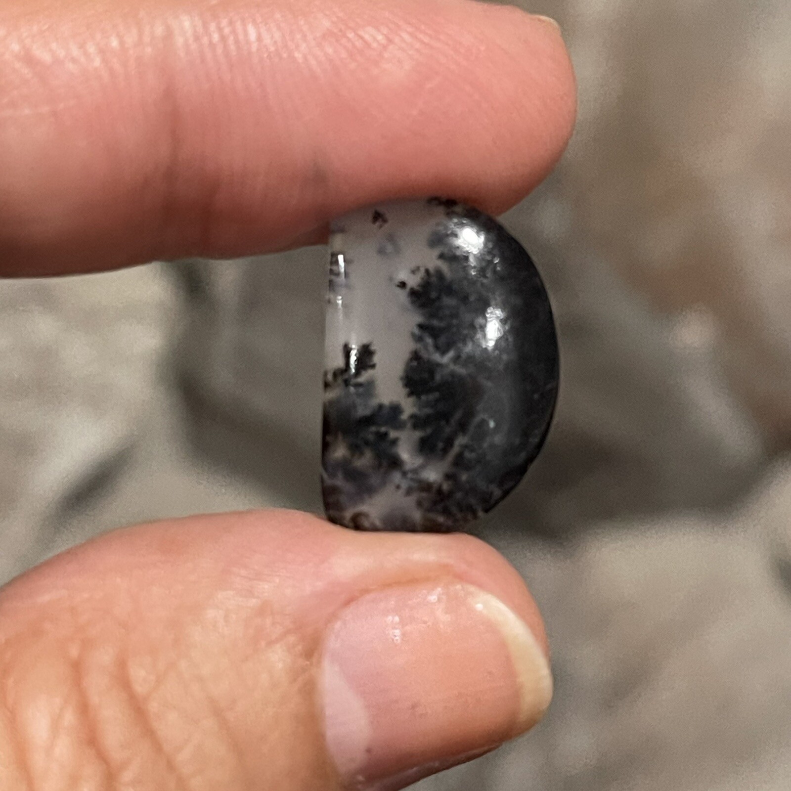 7ct 19.3x13x4mm Fine Dendritic Agate Smooth Cabochon Loose Picture Stone