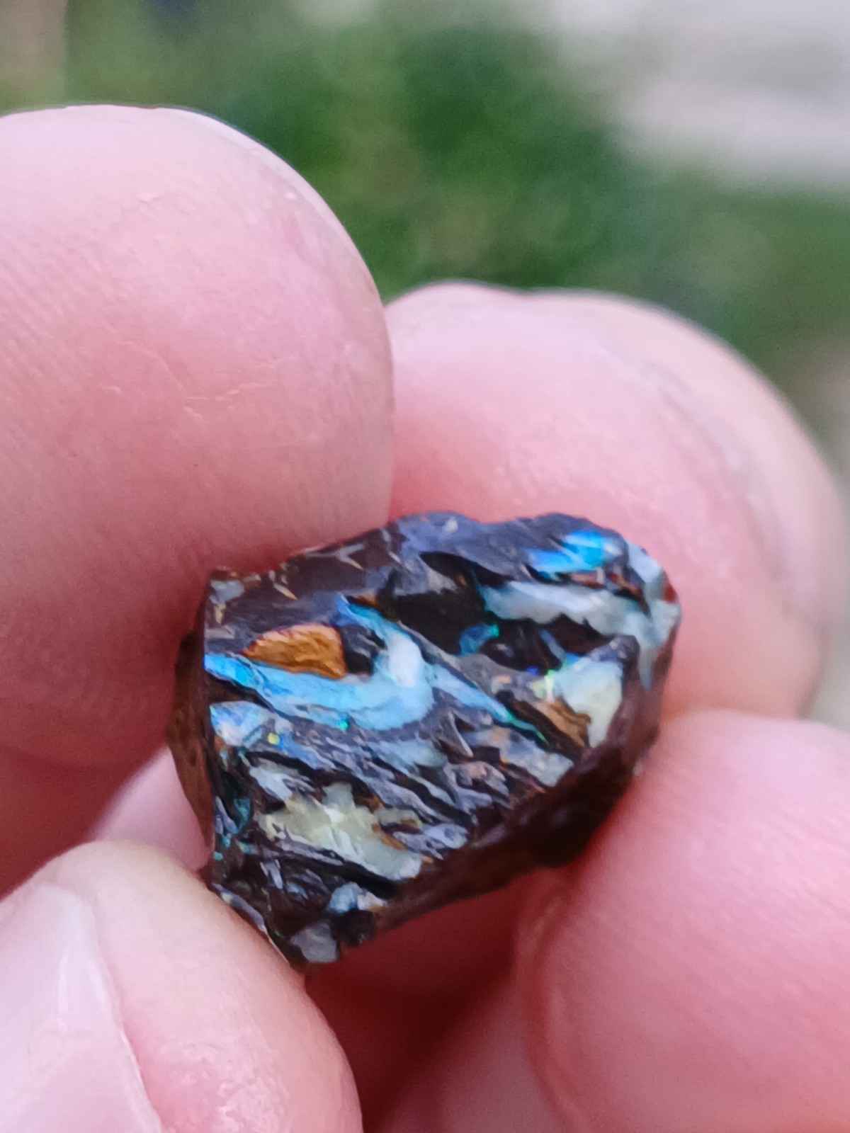 Australia Boulder Opal Koroit R313 Specimen 11 Carat Blue Green