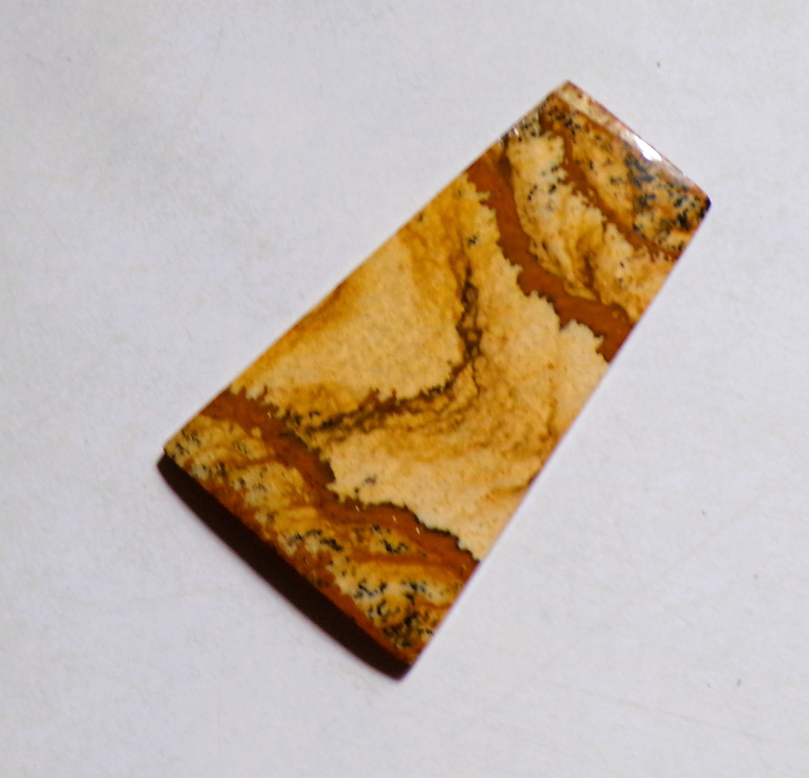28.90 Cts Natural Picture Jasper Cabochon Loose Gemstone 40X24X4MM
