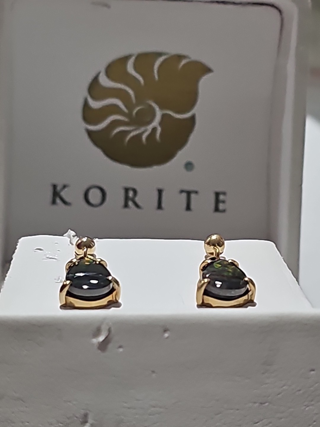 Stunning Korite Ammolite Earrings set in 14k Solid Yellow Gold