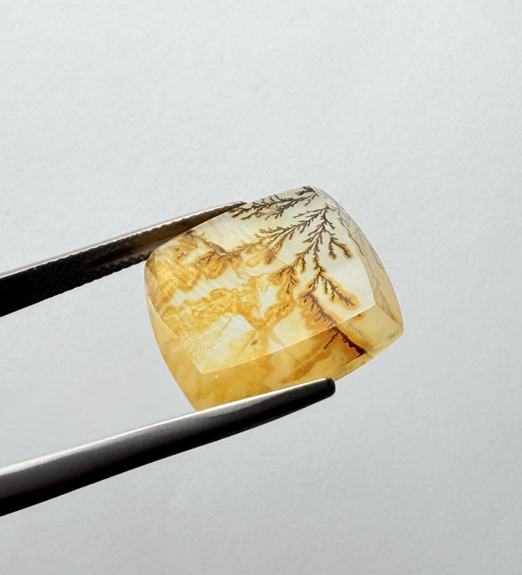 D0159- Dendritic quartz, Dendrite quartz, Scenic quartz, Landscape quartz,