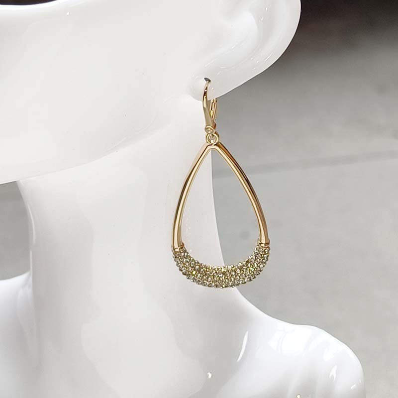DKNY Crystal Teardrop Drop Statement Earrings Gift Women Party Vacation Jewelry