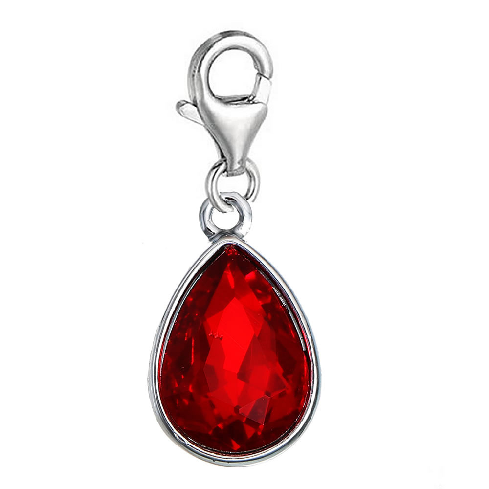 Sexy Sparkles Clip on January Birthstone Dangling lobster clasp charms for brace
