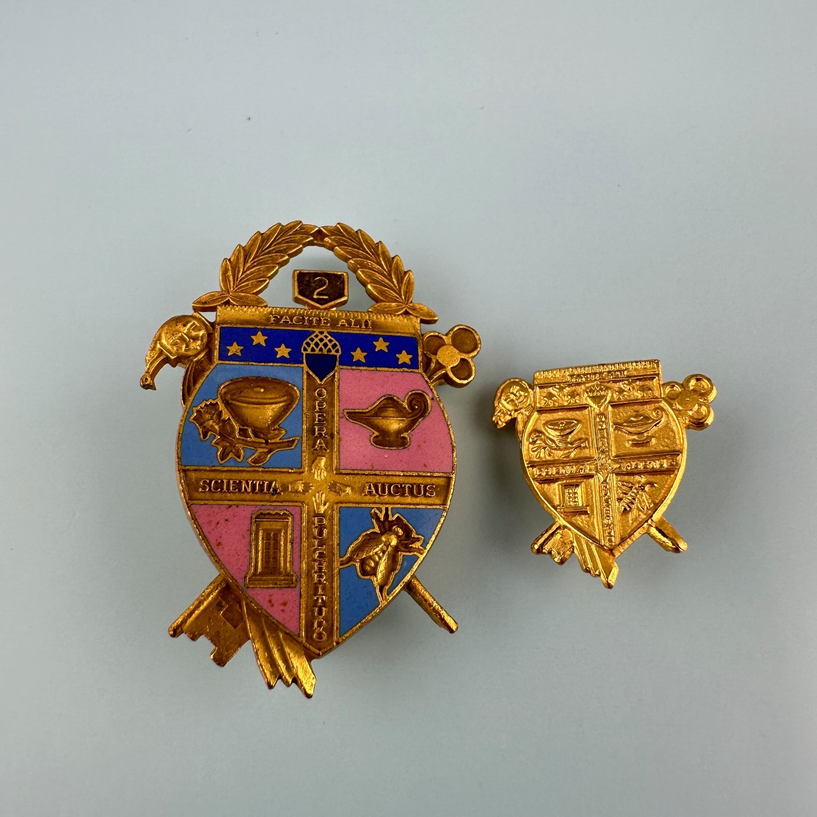 Vintage Coat of Arms Pin Lot Gold Tone Facital Scientia Auctus Opera Pulchritudo