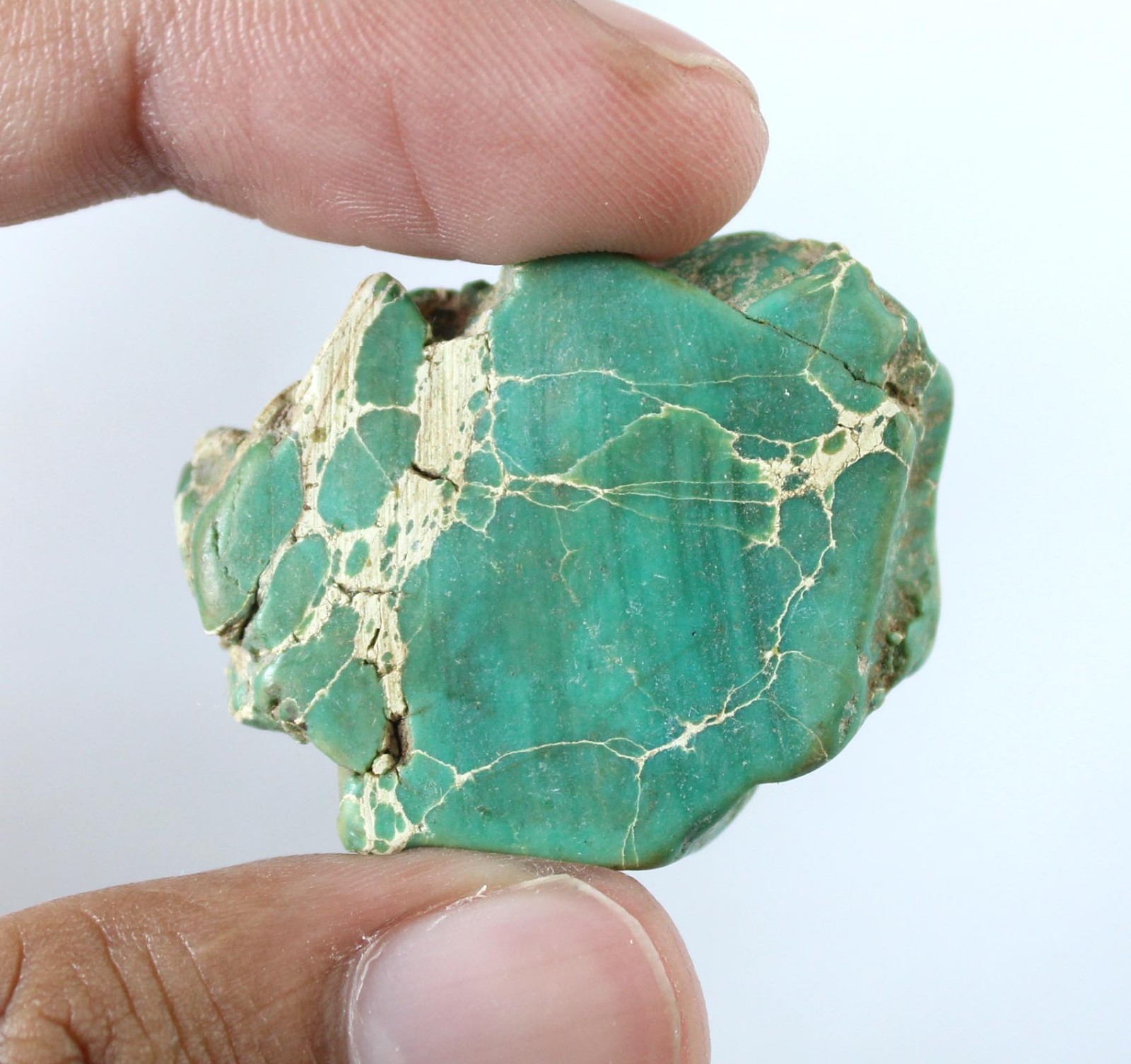 Blue Ridge Turquoise 46.35 Ct Natural Sleeping Beauty Gemstone Slab Rough T40587